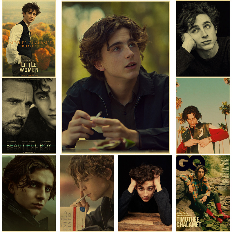 Timothee Chalamet Retro Canvas - Home Bar And Theater ulasan dan harga